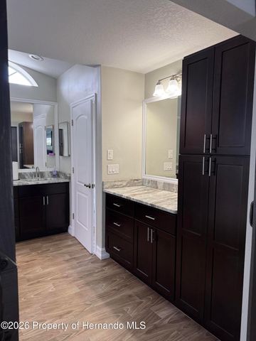 10390 Audie Brook Drive, Spring Hill, FL 34608
