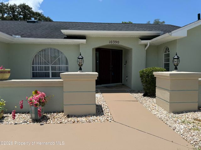 10390 Audie Brook Drive, Spring Hill, FL 34608