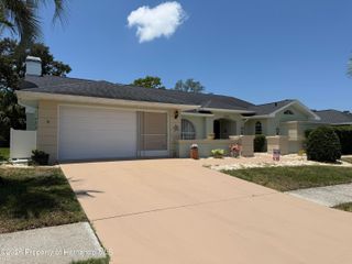 10390 Audie Brook Drive, Spring Hill, FL 34608