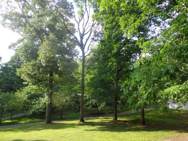 120 Hamby Road, Blue Ridge, GA 30513