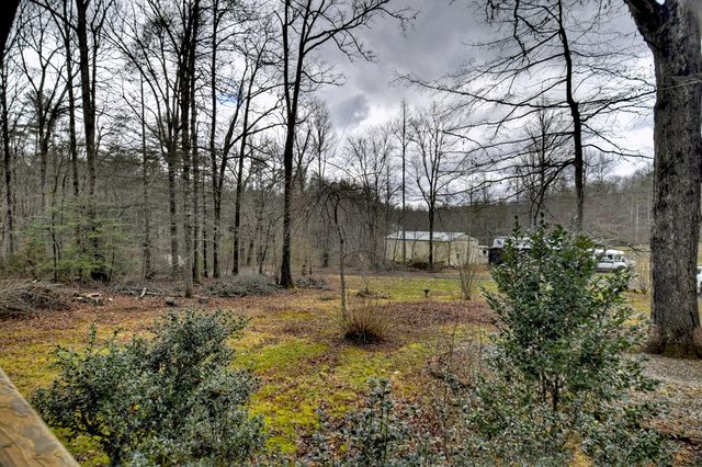 59 Christel & Nathan Ln, Blue Ridge, GA 30513