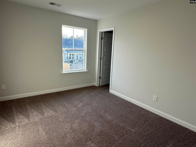 419 Rising Stream Way, Chapin, SC 29036