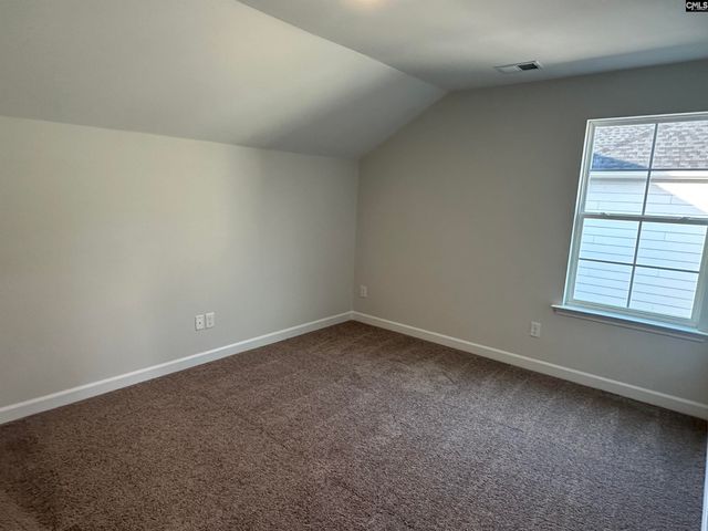 419 Rising Stream Way, Chapin, SC 29036