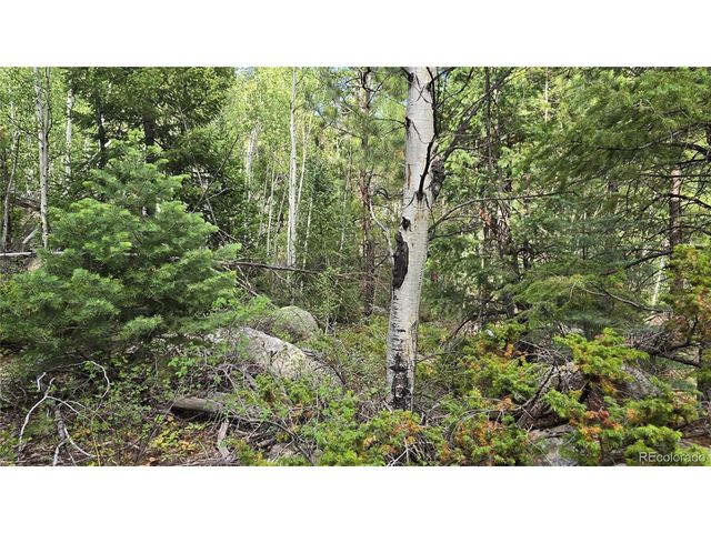 6474 Malcolm Rd, San Luis, CO 81152