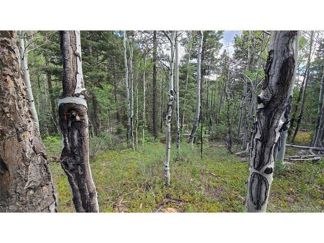 6474 Malcolm Rd, San Luis, CO 81152