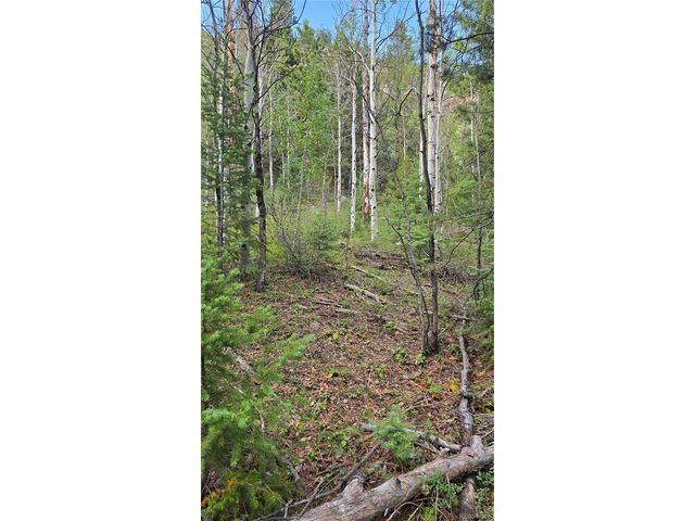 6474 Malcolm Rd, San Luis, CO 81152