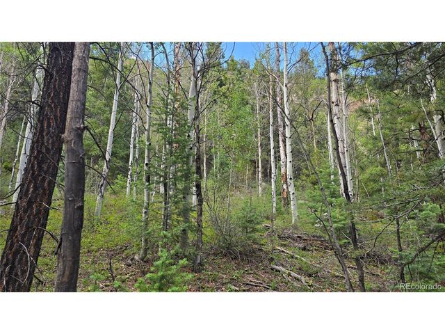 6474 Malcolm Rd, San Luis, CO 81152