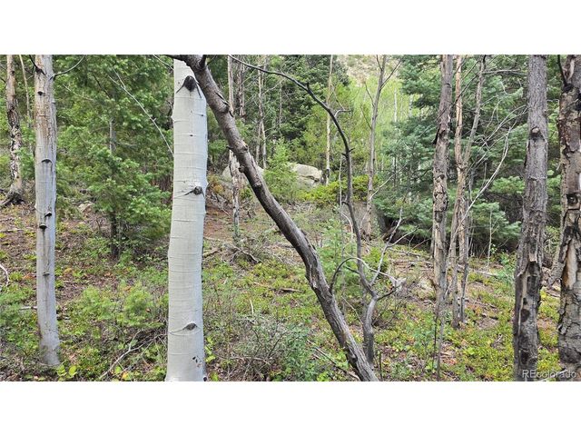 6474 Malcolm Rd, San Luis, CO 81152