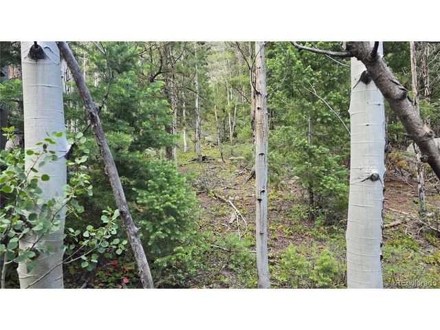 6474 Malcolm Rd, San Luis, CO 81152