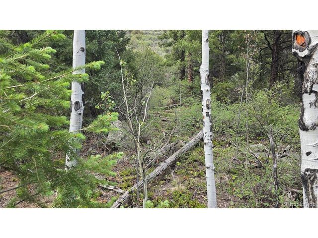 6474 Malcolm Rd, San Luis, CO 81152