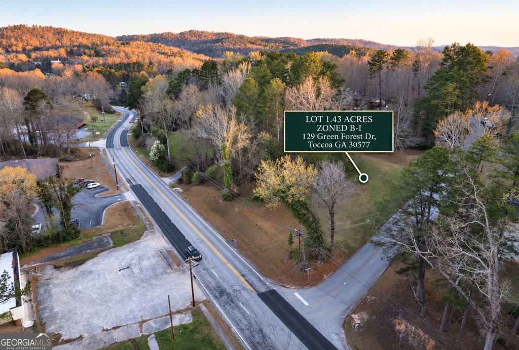 129 Green Forest Drive, Toccoa, GA 30577 — photo 4