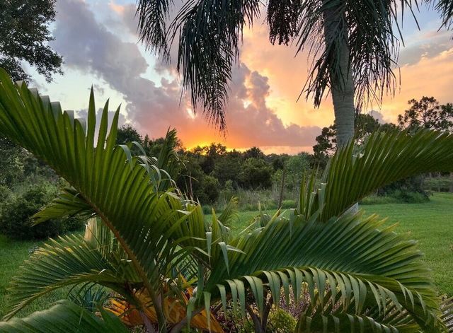 8256 SE Paurotis Lane, Hobe Sound, FL 33455