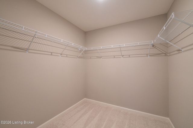 7923 Copper Drift Way, Louisville, KY 40291