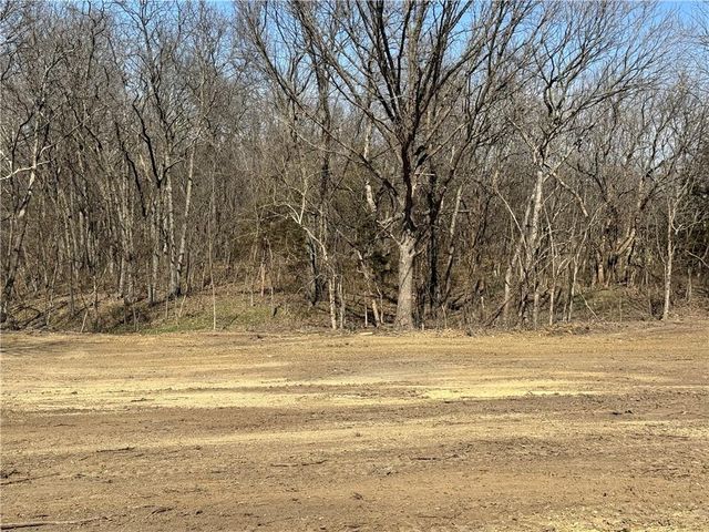 7266 NW State Route FF Highway, Adrian, MO 64720