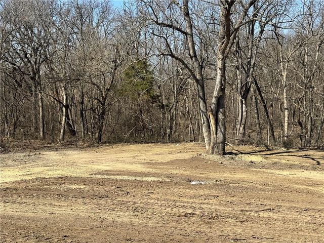 7266 NW State Route FF Highway, Adrian, MO 64720