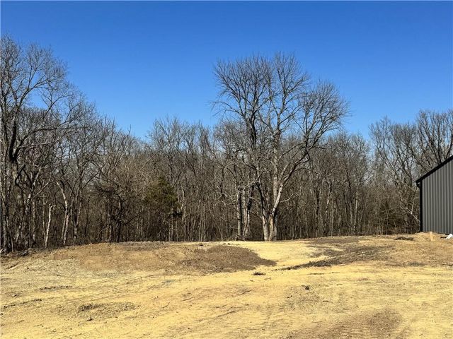 7266 NW State Route FF Highway, Adrian, MO 64720