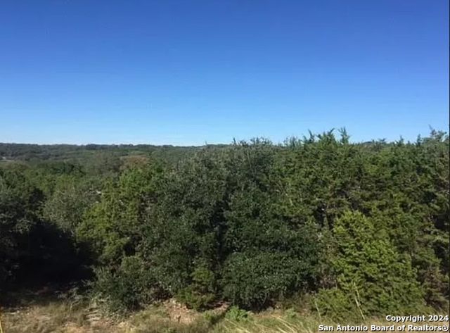 126 FLANDERS, Fischer, TX 78623