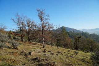 W Evans Creek Road 1200, Rogue River, OR 97537