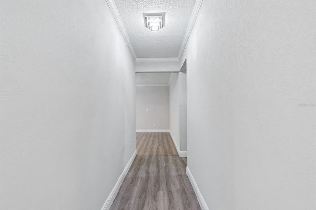 7403 SPRING COURT, Tampa, FL 33634