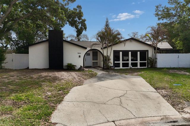 7403 SPRING COURT, Tampa, FL 33634