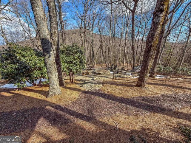 383 Bayberry Lane, Sky Valley, GA 30537