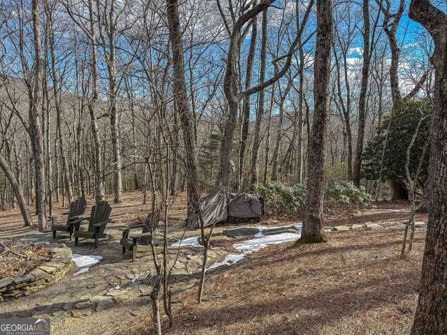 383 Bayberry Lane, Sky Valley, GA 30537