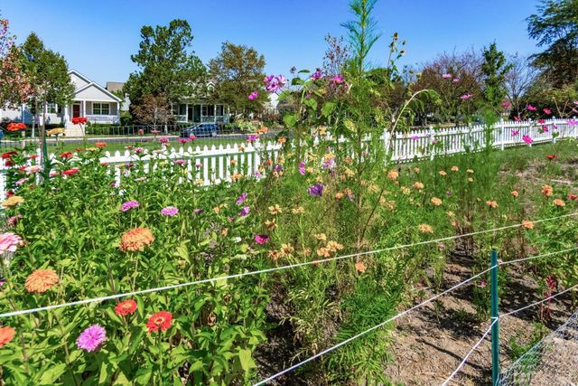 7675 Timber Ridge Drive, Powell, OH 43065