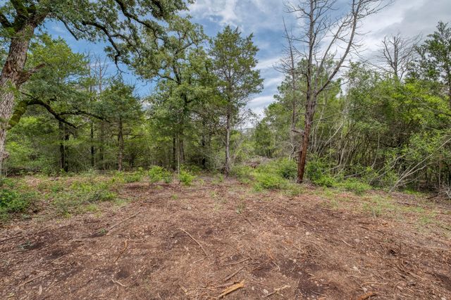 TBD Pathfinders WAY, Smithville, TX 78957