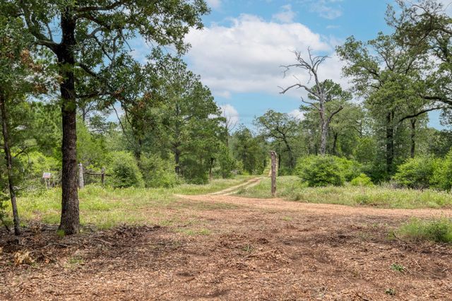 TBD Pathfinders WAY, Smithville, TX 78957