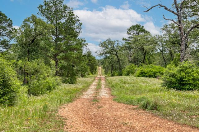 TBD Pathfinders WAY, Smithville, TX 78957
