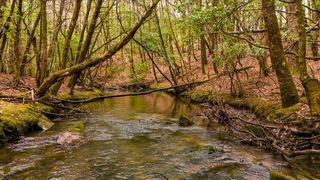 0 Timberwood Trce, Monteagle, TN 37356