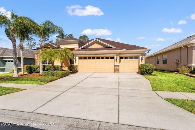 3303 Stonegate Falls Drive, Land O'lakes, FL 34638