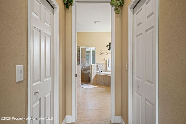 3303 Stonegate Falls Drive, Land O'lakes, FL 34638