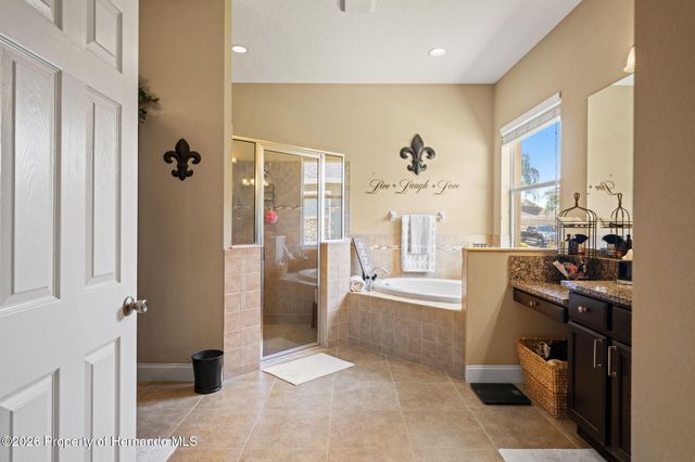 3303 Stonegate Falls Drive, Land O'lakes, FL 34638