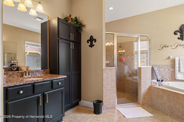 3303 Stonegate Falls Drive, Land O'lakes, FL 34638