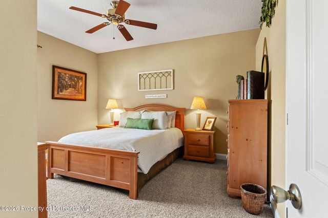 3303 Stonegate Falls Drive, Land O'lakes, FL 34638