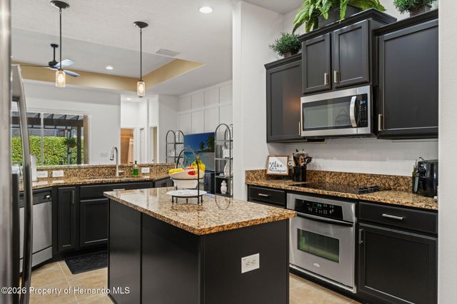 3303 Stonegate Falls Drive, Land O'lakes, FL 34638