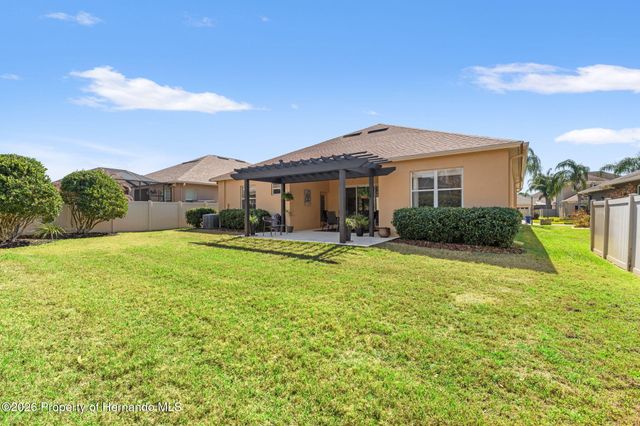 3303 Stonegate Falls Drive, Land O'lakes, FL 34638