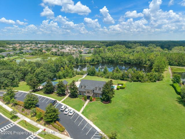 3303 Stonegate Falls Drive, Land O'lakes, FL 34638