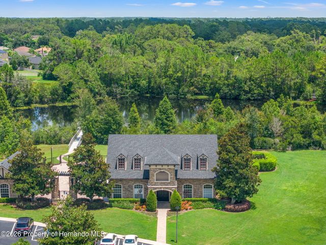 3303 Stonegate Falls Drive, Land O'lakes, FL 34638