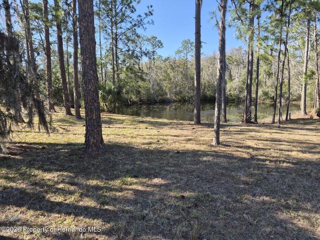 3303 Stonegate Falls Drive, Land O'lakes, FL 34638