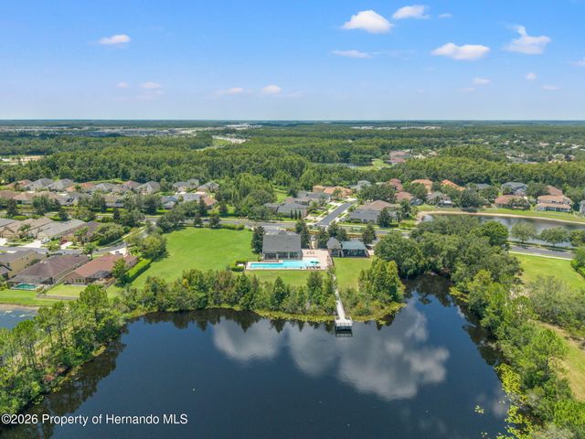 3303 Stonegate Falls Drive, Land O'lakes, FL 34638