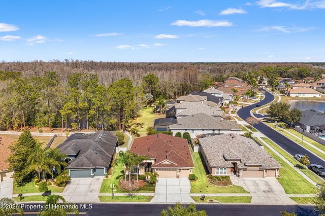 3303 Stonegate Falls Drive, Land O'lakes, FL 34638