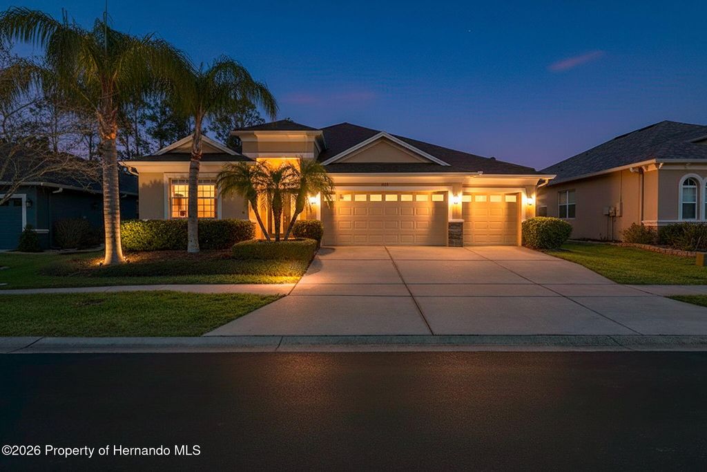 3303 Stonegate Falls Drive, Land O'lakes, FL 34638