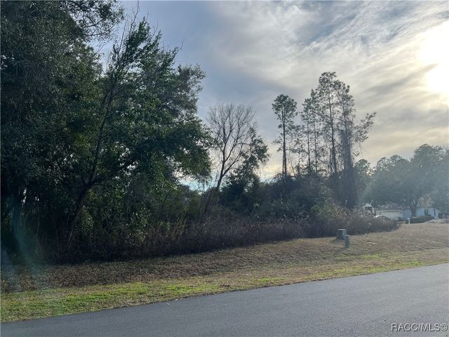 2564 E Chivalry Court, Hernando, FL 34442