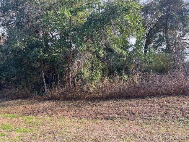 2564 E Chivalry Court, Hernando, FL 34442