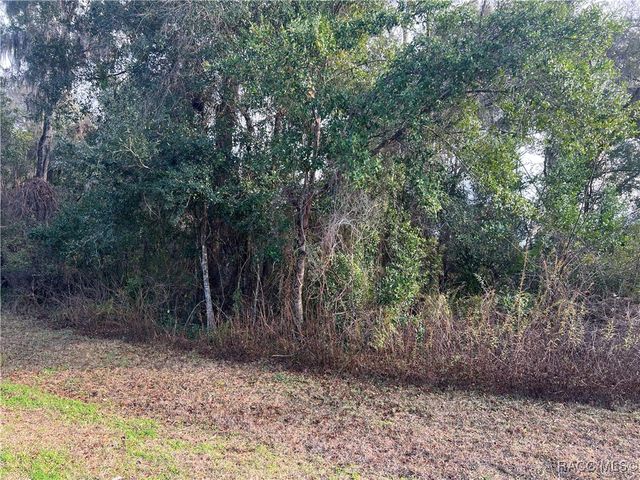 2564 E Chivalry Court, Hernando, FL 34442