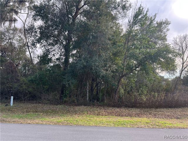 2564 E Chivalry Court, Hernando, FL 34442