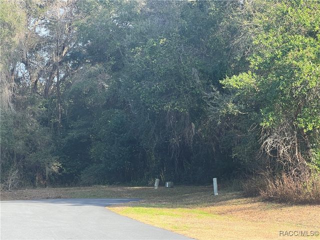 2564 E Chivalry Court, Hernando, FL 34442