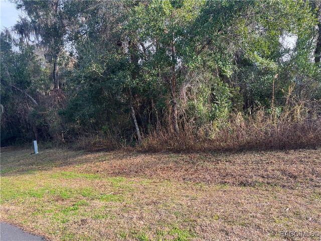 2564 E Chivalry Court, Hernando, FL 34442